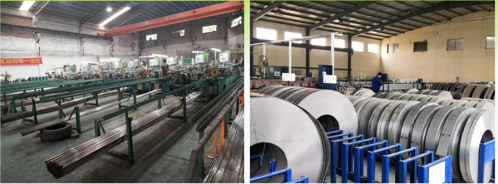 China Lief Technology Company Limited Bedrijfsprofiel
